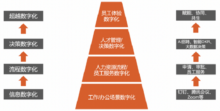 人力資源 人力資源