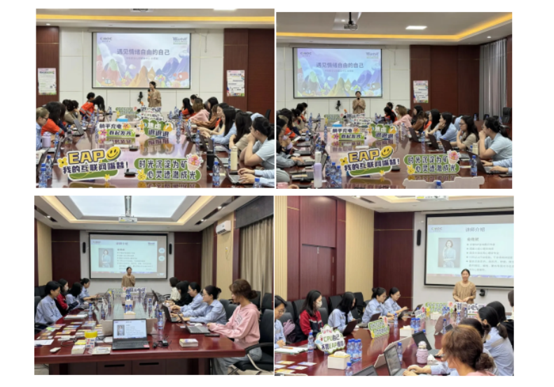 出海企業(yè)EAP案例 | 洛陽鉬業(yè)攜手中智EAP，以人文之光點(diǎn)亮精神礦脈