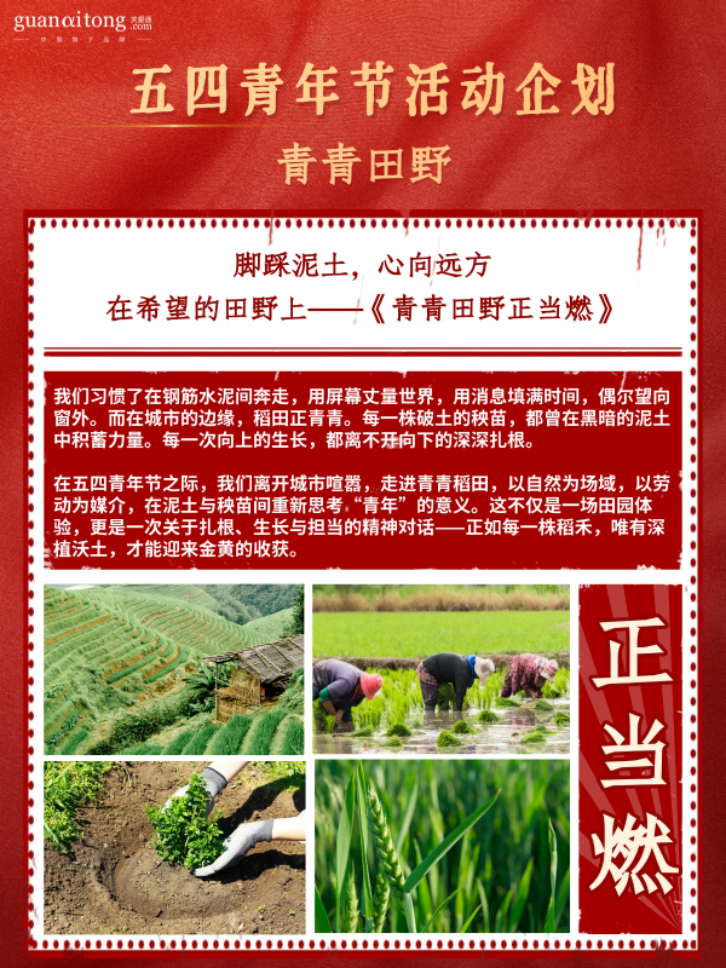 五四青年節(jié)活動企劃青青田野.png
